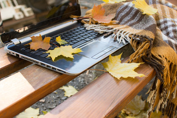 computer with fallen leaves and a blanket