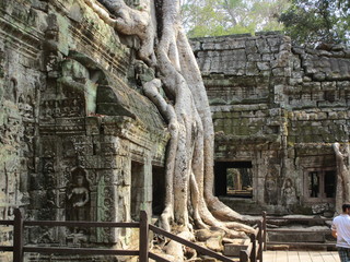 Fototapeta na wymiar Kambodscha 