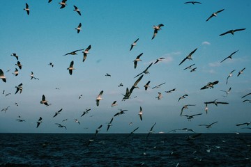 Processed with VSCO with c1 preset
