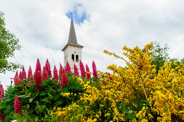 Colorful Spring in Patagonia