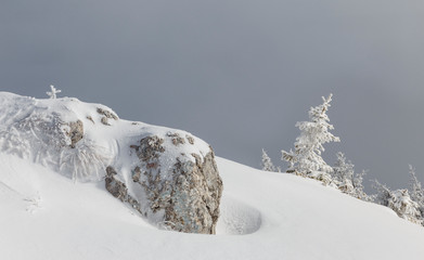 Winter landscape of alpine highlands in fog. View of winter fairy-tale frosen trees and rock in the Carpathians in misty day.