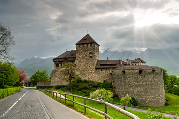 Fototapeta na wymiar Vaduz Castle, Alps, Liechtenstein. Old european palace