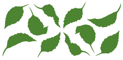 Graphic cartoon different silhouette green leaves. On white background. Vector icon set.