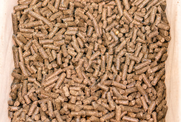 Pellets Biomass- close up studio shot. macro shot of energy efficient wood pellets fills frame. Wood pellets close up .Biofuels. Biomass Pellets - cheap energy. The cat litter