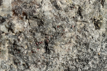 The structure of natural non-polished granite of gray color. Natural background, cropped shot, close-up. The concept of nature and production.