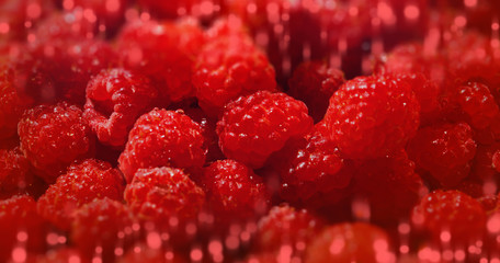 sweet raspberry background many berries banner © Konstantin