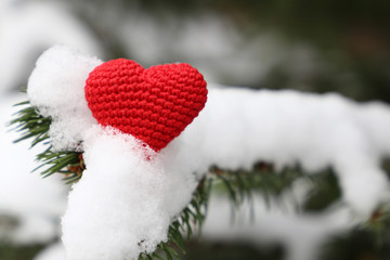 Red knitted heart on fir branches covered with snow. Symbol of romantic love, concept of winter...