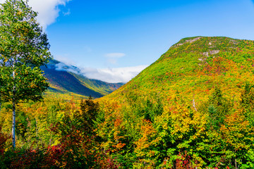 Fototapeta premium Rainbow of Colors, Crawford Notch, New Hampshire