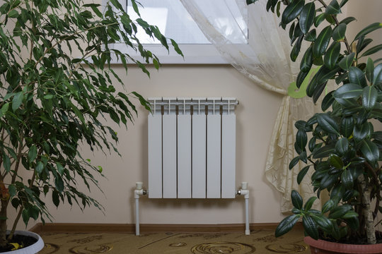 White heating radiator, window and houseplants