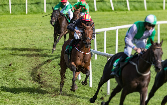 Jockey and race horse galloping for position on the turn of the race track