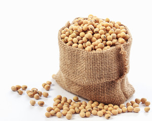Soybeans in wooden ladles on white background.