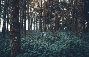 Obraz premium w dżungli Samotnie w lesie