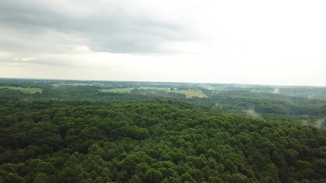 Reverse shot of the trees on the mountain and the clouds