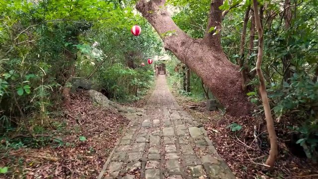 Walking towards a Japanese shrine on top of Awashima Island, located in Shizuoka Japan.