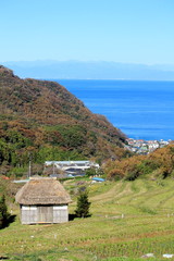 松崎町　秋の石部の棚田