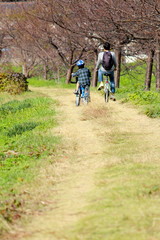 Naklejka premium 子どもとサイクリング