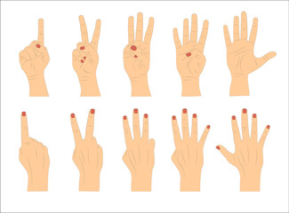 Hand gestures. Vector illustration.