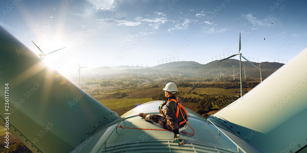 Wall mural happy engineer feel success after good work. he standing a top of windmill and looking beautiful sun