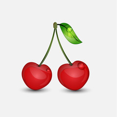 Cherry. Fruits. Vector illustration.