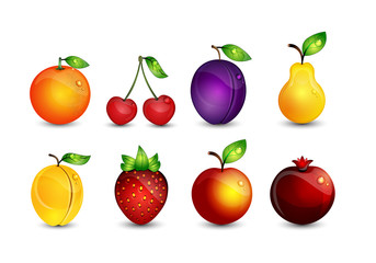 Fruits set. Vector illustration.