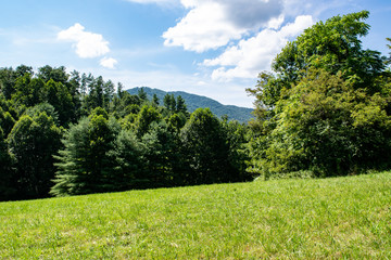 Green Field & Green Trees With Blue Sky & Big Fluffy Clouds In the Mountains