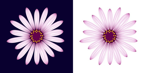 Realistic flower. Vector illustration.