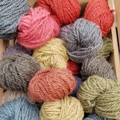 colorful wool yarn