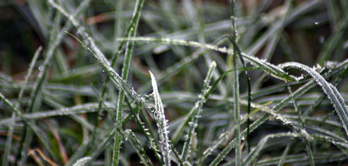 Frostige Zeiten im Winter