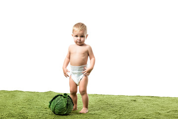 toddler boy standing on green carpet near big cabbage isolated on white