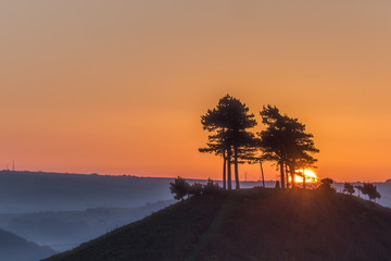 Sun rising over Colmers Hill, Dorset, with vibrant, colourful sky