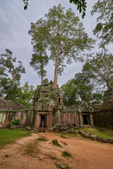 Fototapeta na wymiar Trees raised on the ruins of the temple Ta Prohm,temple at Angkor Wat complex, Angkor Wat Archaeological Park in Siem Reap, Cambodia UNESCO World Heritage Site