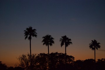 夕暮れのグラデーション