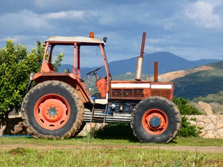 Naklejka premium Trattore