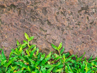 Brown stone walk way with green grass texture. Background abstract of stone grunge rough walk way in the garden. Rock texture. - High resolution background.
