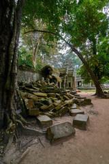 Trees raised on the ruins of the temple Ta Prohm,temple at Angkor Wat complex, Angkor Wat Archaeological Park in Siem Reap, Cambodia UNESCO World Heritage Site