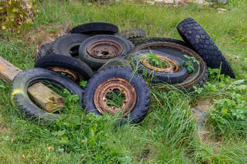 Fototapeta premium old car tires lie in green grass
