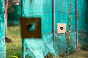 Shooting paper targets with holes in the middle from accurating shoots in a gun shooting range from a shooting practice field. Seeing a green slate a background.