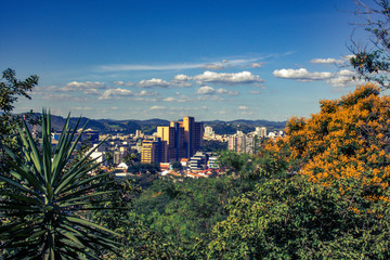 Blue Skies in the City