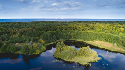 Green forest island and the sea in aerial view.
