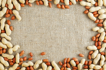 Roasted peanuts in a shell and peeled on a brown fabric background.