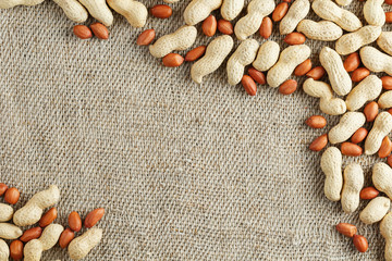 Roasted peanuts in a shell and peeled on a brown fabric background.
