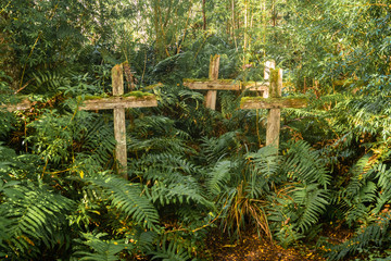 Wood cross in patagonian cementery in Chile, Caleta Tortel. Dead island in river Baker. forest