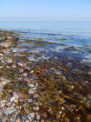 sea, rocks and seaweed