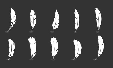 Set of feathers. Vector illustration.