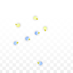 Vector Realistic Colorful Petals Falling on Transparent Background.  Spring Romantic Flowers Illustration. Flying Petals. Sakura Spa Design. Blossom Confetti. Design Elements for Wedding Decoration.