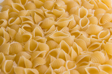 Macaroni in the form of shells approximated macro