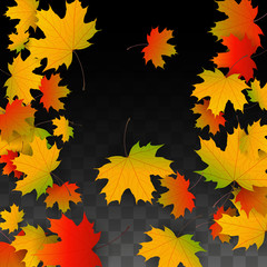 September Vector Background with Golden Falling Leaves. Autumn Illustration with Maple Red, Orange, Yellow Foliage. Isolated Leaf on Transparent Background. Bright Swirl. Suitable for Posters.