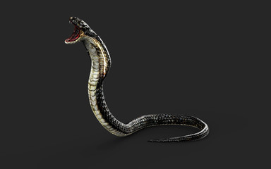 3d Illustration King Cobra The World's Longest Venomous Snake Isolated on White Background, King Cobra Snake with Clipping Path 