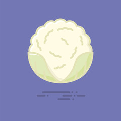 Cauliflower cabbage vegetable vector filled line icon