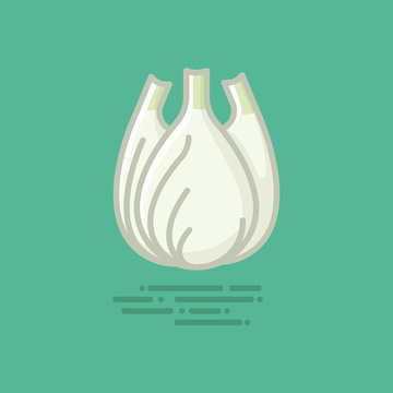 Fennel bulb vegetable vector filled line icon